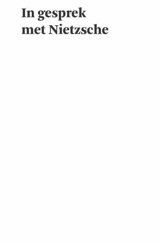 In gesprek met Nietzsche - Afbeelding 3