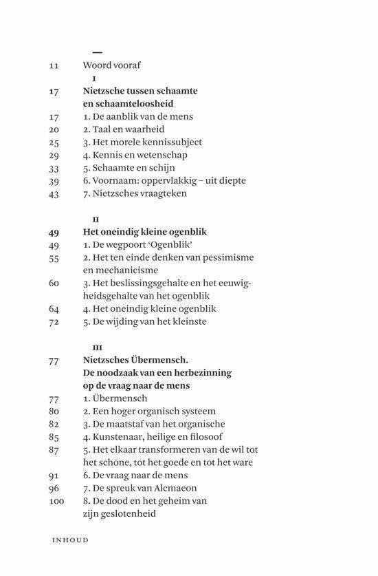 In gesprek met Nietzsche - Afbeelding 6