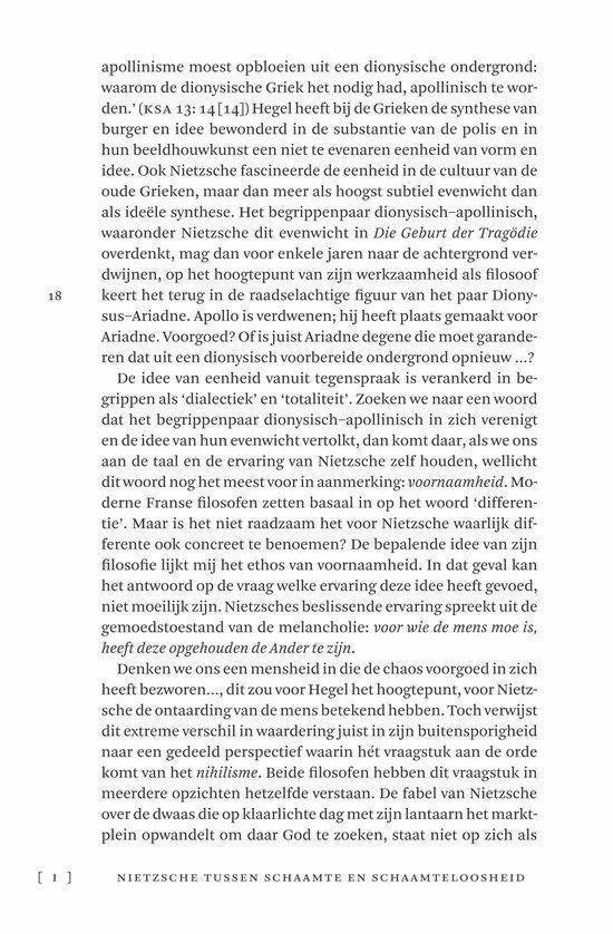 In gesprek met Nietzsche - Afbeelding 5
