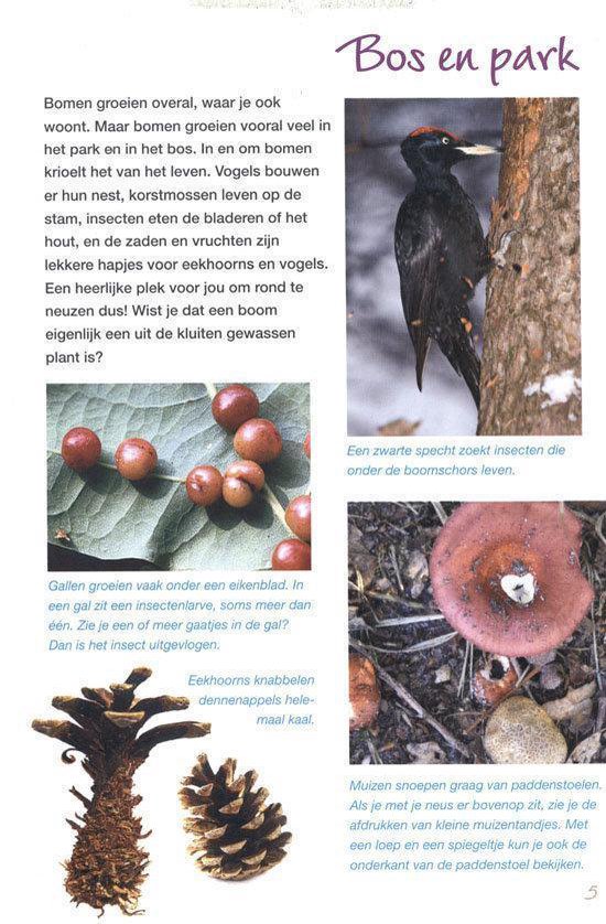 Natuur is overal - Afbeelding 4